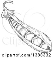 Clipart Of Sketched Gray Peas Royalty Free Vector Illustration