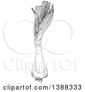 Clipart Of A Sketched Gray Leek Royalty Free Vector Illustration by Vector Tradition SM