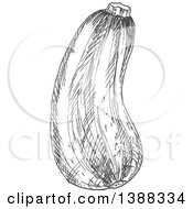 Clipart Of A Sketched Gray Zucchini Royalty Free Vector Illustration
