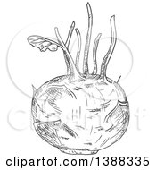 Clipart Of A Sketched Gray Kohlrabi Royalty Free Vector Illustration by Vector Tradition SM