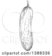 Clipart Of A Sketched Gray Cucumber Royalty Free Vector Illustration by Vector Tradition SM