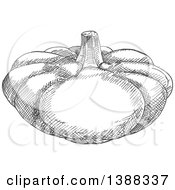 Clipart Of A Sketched Gray Pumpkin Or Squash Royalty Free Vector Illustration