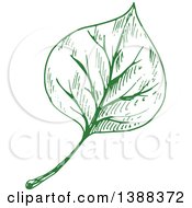 Poster, Art Print Of Sketched Green Leaf