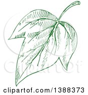 Poster, Art Print Of Sketched Green Leaf