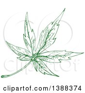 Poster, Art Print Of Sketched Green Maple Leaf