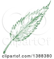 Poster, Art Print Of Sketched Green Leaf