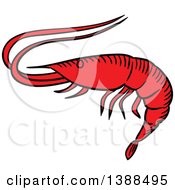 Clipart Of A Sketched Prawn Royalty Free Vector Illustration