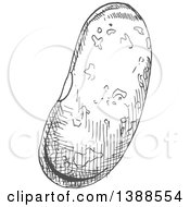 Clipart Of A Sketched Gray Bean Royalty Free Vector Illustration by Vector Tradition SM