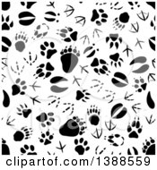 Poster, Art Print Of Seamless Background Pattern Of Black Animal Tracks