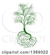 Clipart Of A Green Tree With Brain Roots And Bare Branches Symbolizing Memory Loss Royalty Free Vector Illustration