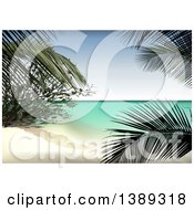 Poster, Art Print Of Background Of A Tropical Beach And Palms