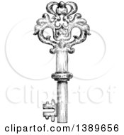 Clipart Of A Black And White Sketched Skeleton Key Royalty Free Vector Illustration