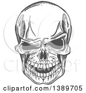Poster, Art Print Of Gray Sketched Human Skull