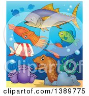 Clipart Of Sea Life Underwater Royalty Free Vector Illustration by visekart