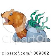 Poster, Art Print Of Brown Eel With Rocks And Sea Weed