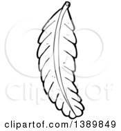 Poster, Art Print Of Cartoon Black And White Lineart Bird Feather