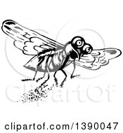 Poster, Art Print Of Vintage Black And White Fly