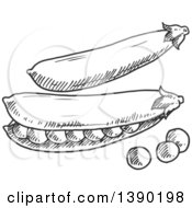 Clipart Of Gray Sketched Peas Royalty Free Vector Illustration