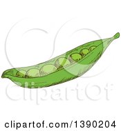 Clipart Of A Sketched Pea Pod Royalty Free Vector Illustration