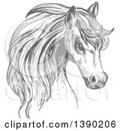 Clipart Of A Gray Sketched Horse Head Royalty Free Vector Illustration