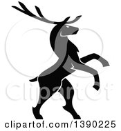 Black Silhouetted Bull Elk