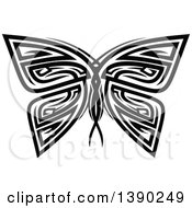 Black And White Tribal Styled Butterfly Or Moth
