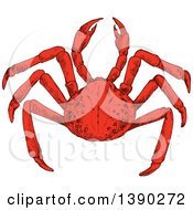 Clipart Of A Sketched Crab Royalty Free Vector Illustration