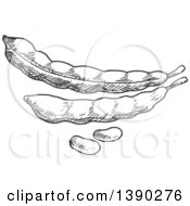 Clipart Of Gray Sketched Bean Pods Royalty Free Vector Illustration by Vector Tradition SM