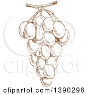 Clipart Of A Brown Sketched Bunch Of Grapes Royalty Free Vector Illustration