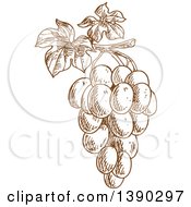 Clipart Of A Brown Sketched Bunch Of Grapes Royalty Free Vector Illustration