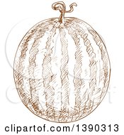 Clipart Of A Brown Sketched Watermelon Royalty Free Vector Illustration