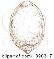 Clipart Of A Brown Sketched Lemon Or Lime Royalty Free Vector Illustration