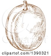 Clipart Of A Brown Sketched Plum Peach Or Apricot Royalty Free Vector Illustration