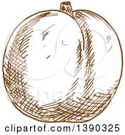 Clipart Of A Brown Sketched Plum Peach Or Apricot Royalty Free Vector Illustration