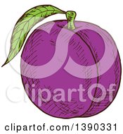 Clipart Of A Sketched Plum Royalty Free Vector Illustration