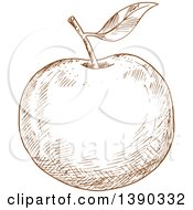 Poster, Art Print Of Brown Sketched Apple