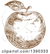 Clipart Of A Brown Sketched Apple Royalty Free Vector Illustration