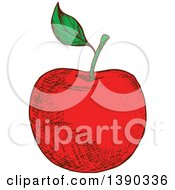 Sketched Red Apple
