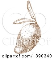 Clipart Of A Brown Sketched Mango Royalty Free Vector Illustration