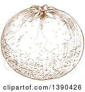 Clipart Of A Brown Sketched Tomato Royalty Free Vector Illustration