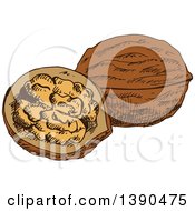 Clipart Of Sketched Walnuts Royalty Free Vector Illustration by Vector Tradition SM