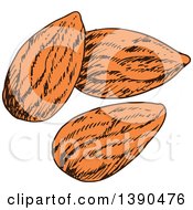 Poster, Art Print Of Sketched Almonds