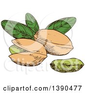Clipart Of Sketched Pistachios Royalty Free Vector Illustration