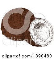 Clipart Of A Sketched Coconut Royalty Free Vector Illustration