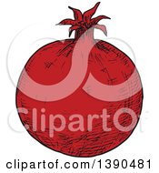 Sketched Pomegranate