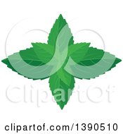 Poster, Art Print Of Culinary Spice Herb Mint