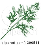 Poster, Art Print Of Culinary Spice Herb Dill