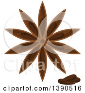 Poster, Art Print Of Culinary Spice Herb Star Anise