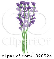 Clipart Of A Culinary Spice Herb Lavender Royalty Free Vector Illustration