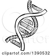 Clipart Of A Sketched Dark Gray Dna Strand Royalty Free Vector Illustration